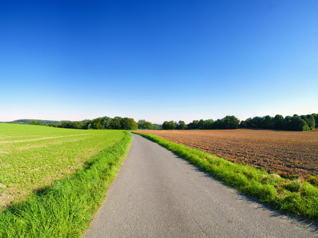 L’INSTITUT CANADIEN DES POLITIQUES AGROALIMENTAIRES (ICPA) ANNONCE UNE