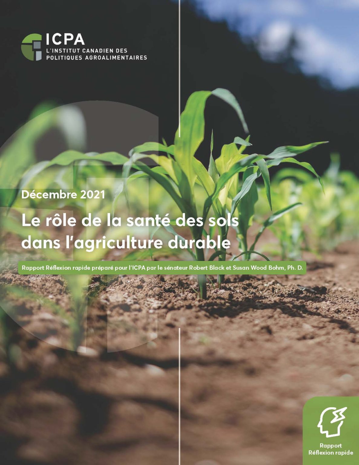 Le role de la santé des sols dans l’agriculture durable - L’Institut ...